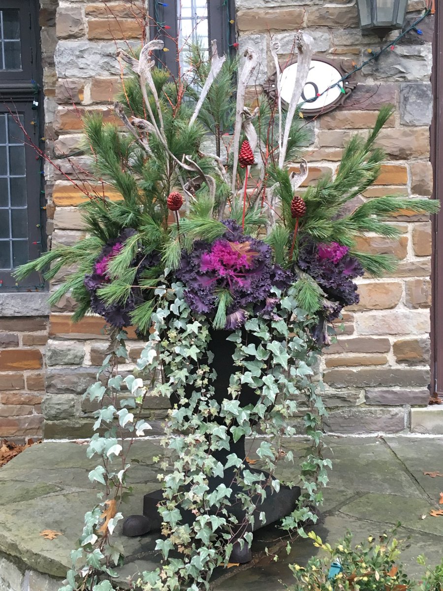 ⁦<a href="/CBCOntarioToday/">Ontario Today</a>⁩ cabbages go from fall to early spring and intensify in colour with the cold. Leslie Ferguson Toronto