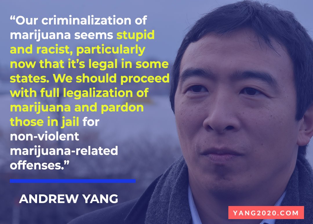 Stoners Will Rejoice When They Hear What Presidental Candidate Andrew Yang Has In Mind ...1080 x 773