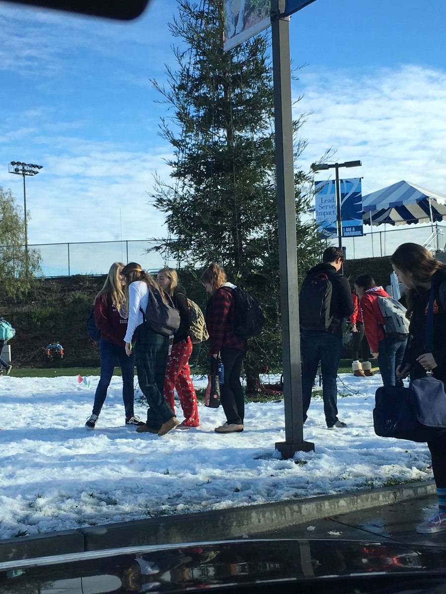 lyndaleigh66's tweet photo. I love that someone from Valley Christian hauled this snow in and decorated a tree just to make the students smile! #vcsspirit #happystudents ##thankful parent https://t.co/Uk9Vu92WOs