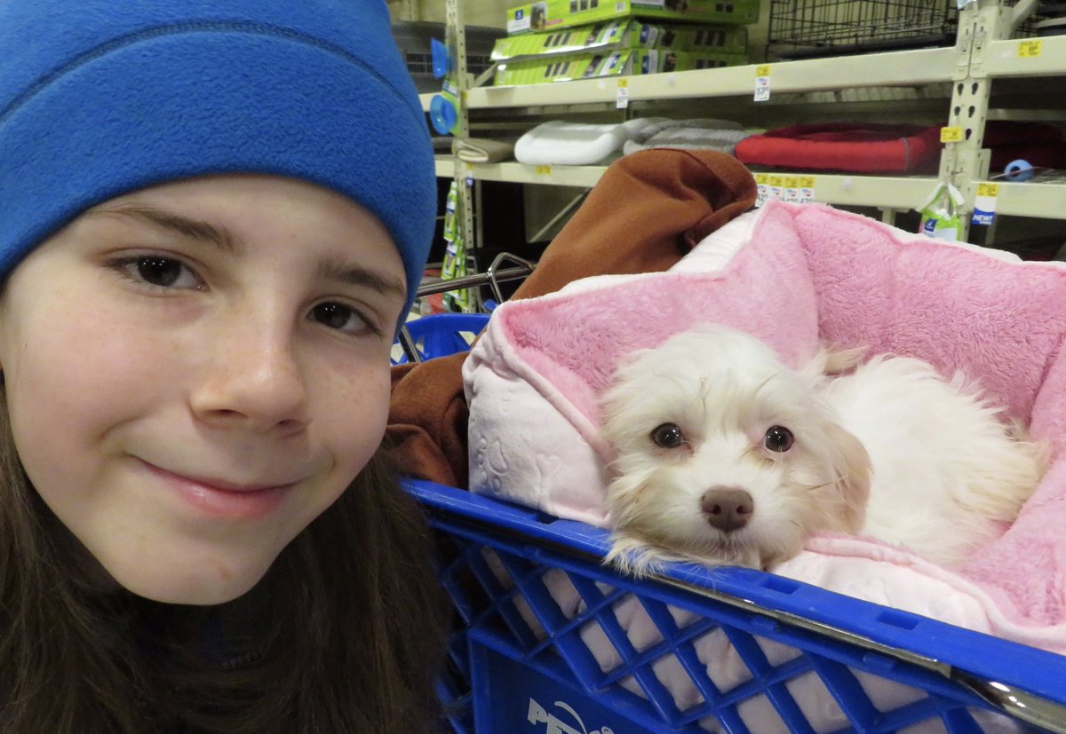 IvePetThatDog tweet picture