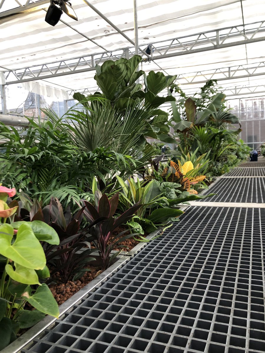 ARomph's tweet image. As representative of Sempergreen Vertical Systems and winner of interior planter of 2018 I had the honor to visit three unique nominees for  the election of 2019.