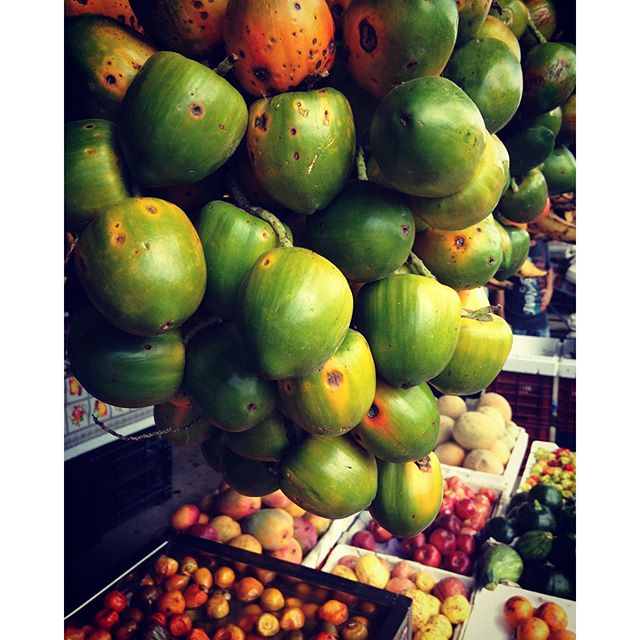 Costa Rica’s markets are a favorite of locals and tourists alike, there’s no shortage of fresh fruits and vegetables. 🍉🍊🍎🍌🍆🍠🍋#puravidalife