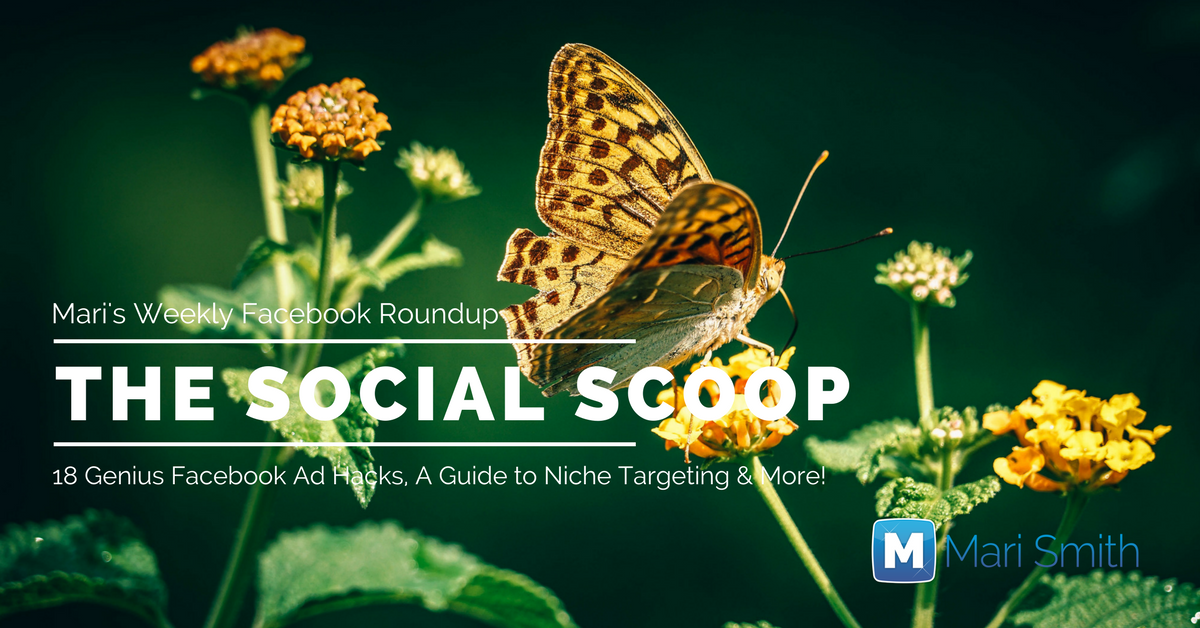 JoinIndieFunda's tweet photo. 18 Genius Facebook Ad Hacks, A Guide to Niche Targeting &amp; More: The Social Scoop 2/18/17 https://t.co/GQjKaVDrBR https://t.co/S9zmgj7JpY