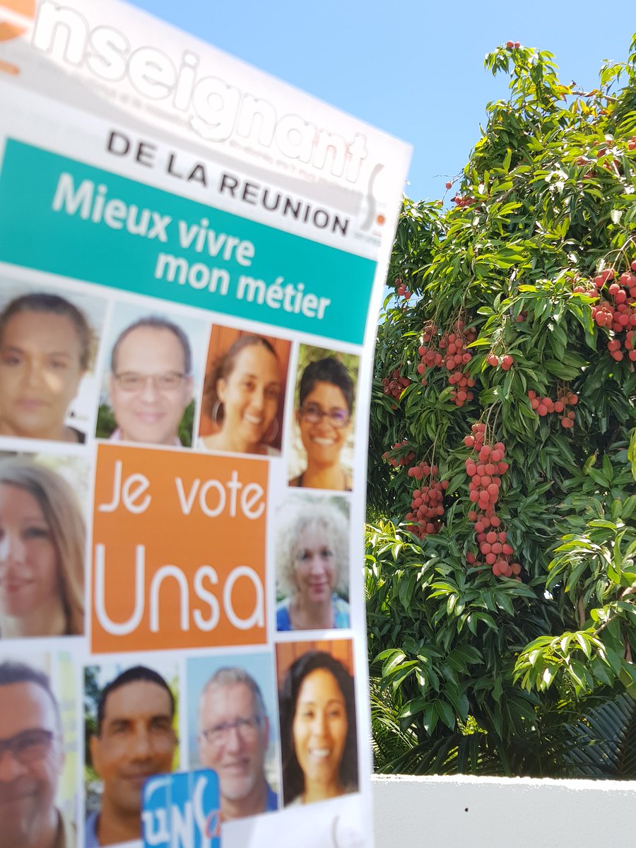 jdijoux9's tweet image. #JeVoteUnsa vote ou letchis ? Je fais les deux, 4 clics, 4 clics UNSA