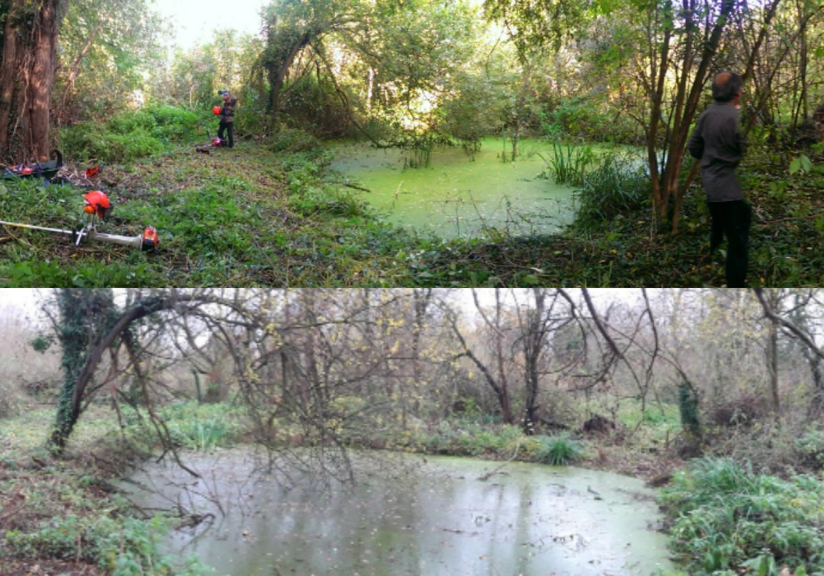 These before and after shots of the Watermeads nature reserve really show what a difference all the hard work our conservation team does makes!