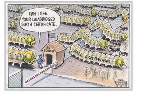 FarmersUnitedSA's tweet photo. Let's be ready farmers, surely @DAFF_ZA as usual will be asleep on the job. Wonder what @ARCSouthAfrica has in store for us too 🤔 https://t.co/BL8JzSDpaw
