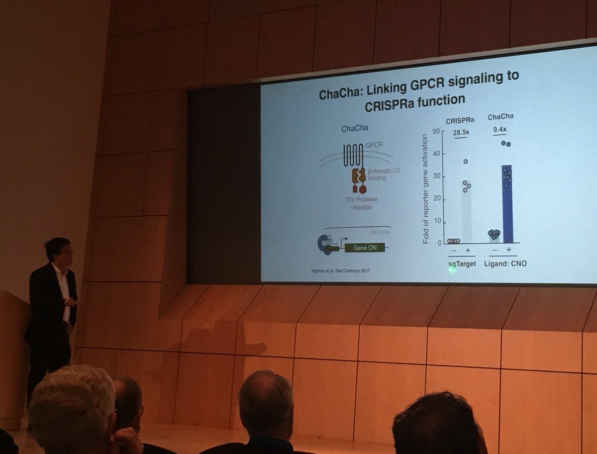 nyckevil's tweet photo. Stanley Qi (Stanford) with a dCas9 based variant of our Tango assay, called... CHA-CHA #30yearsofaging https://t.co/QAIhRSM3gy