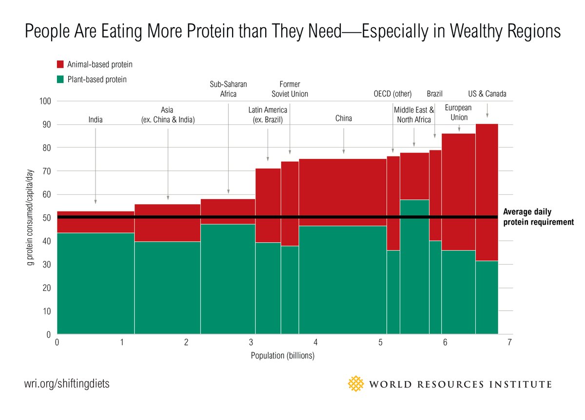 Protein Consumption Chart