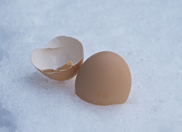 Why I “feed” my blue jays the egg shells every time I eat eggs (and why they chip paint off my house, too). 
buff.ly/2FSCgMq