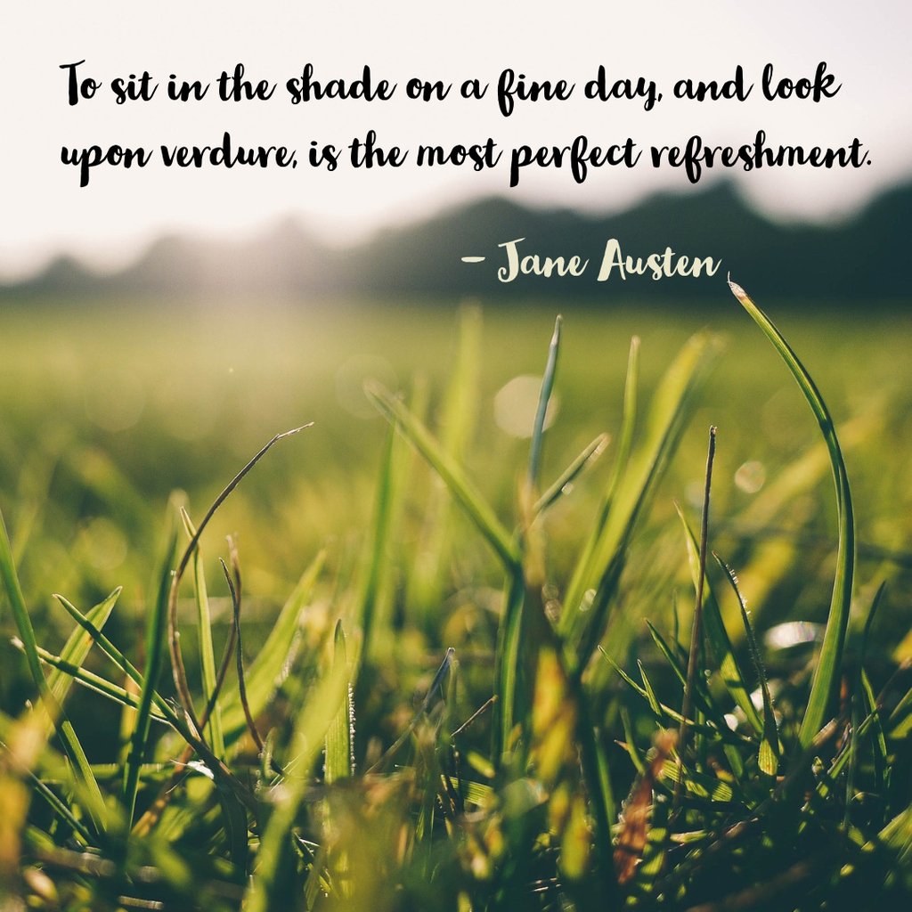 DesignADI's tweet photo. From the book Mansfield Park of the great writer Jane Austen. Something we should all do every once in a while. What do you think? https://t.co/dtbbi9MNGM