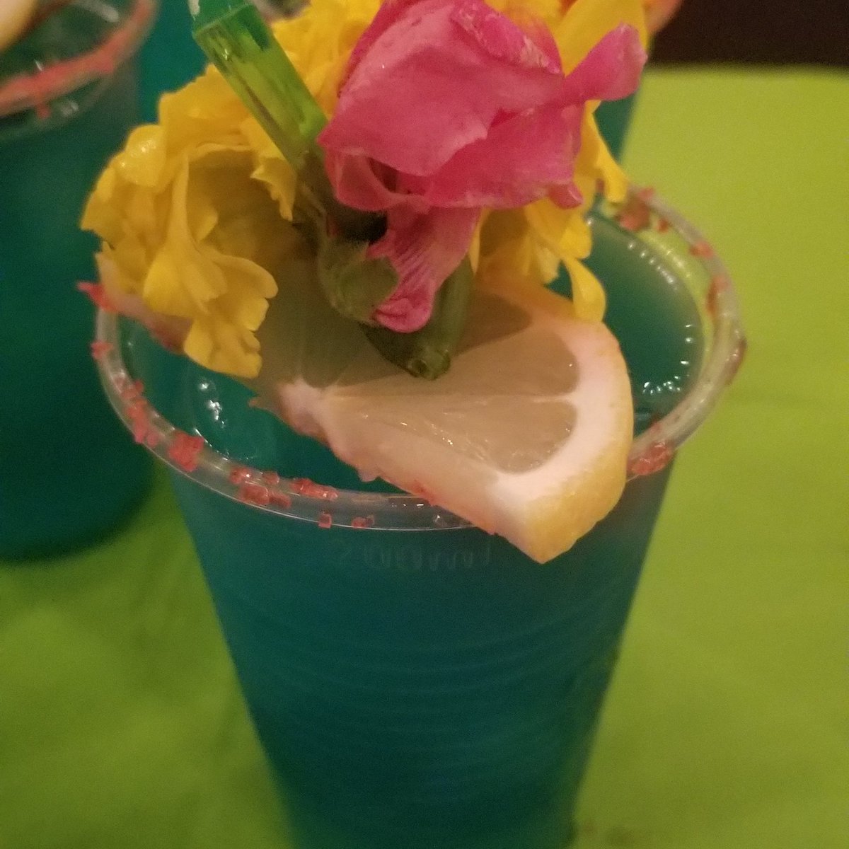 It's that fun time of year when all the family &amp; friends come to your house for a good time! Why not make it a 'Flockin Good Time'! We've got just the right stuff to make your holiday party a success! Contact us for details on making your party a Flocked Up! party!