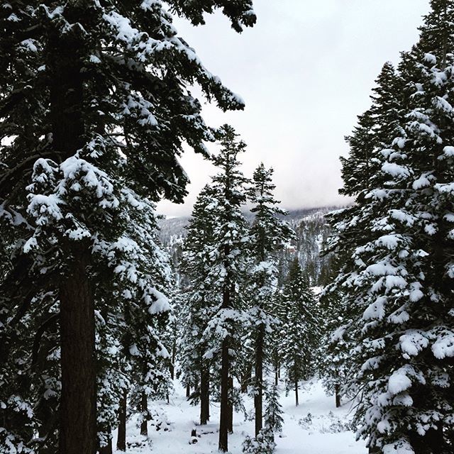 echoadventurer's tweet photo. Who’s ready for a snow day?
.
.
.
#adventure #travel #explore #wanderlust #destination #inspiration #vacation #travelgram #travelphotography #trip #traveladdict #adventuretime #adventuretravel #california #californialove #instatravel #snowday #winterisco… https://t.co/qPM9ytGLug https://t.co/GgNeiVhLbZ