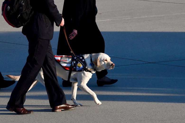Slate's tweet image. Sully H.W. Bush is a service dog who had been with the president for six months, not his lifelong companion: slate.trib.al/Z5BiEye