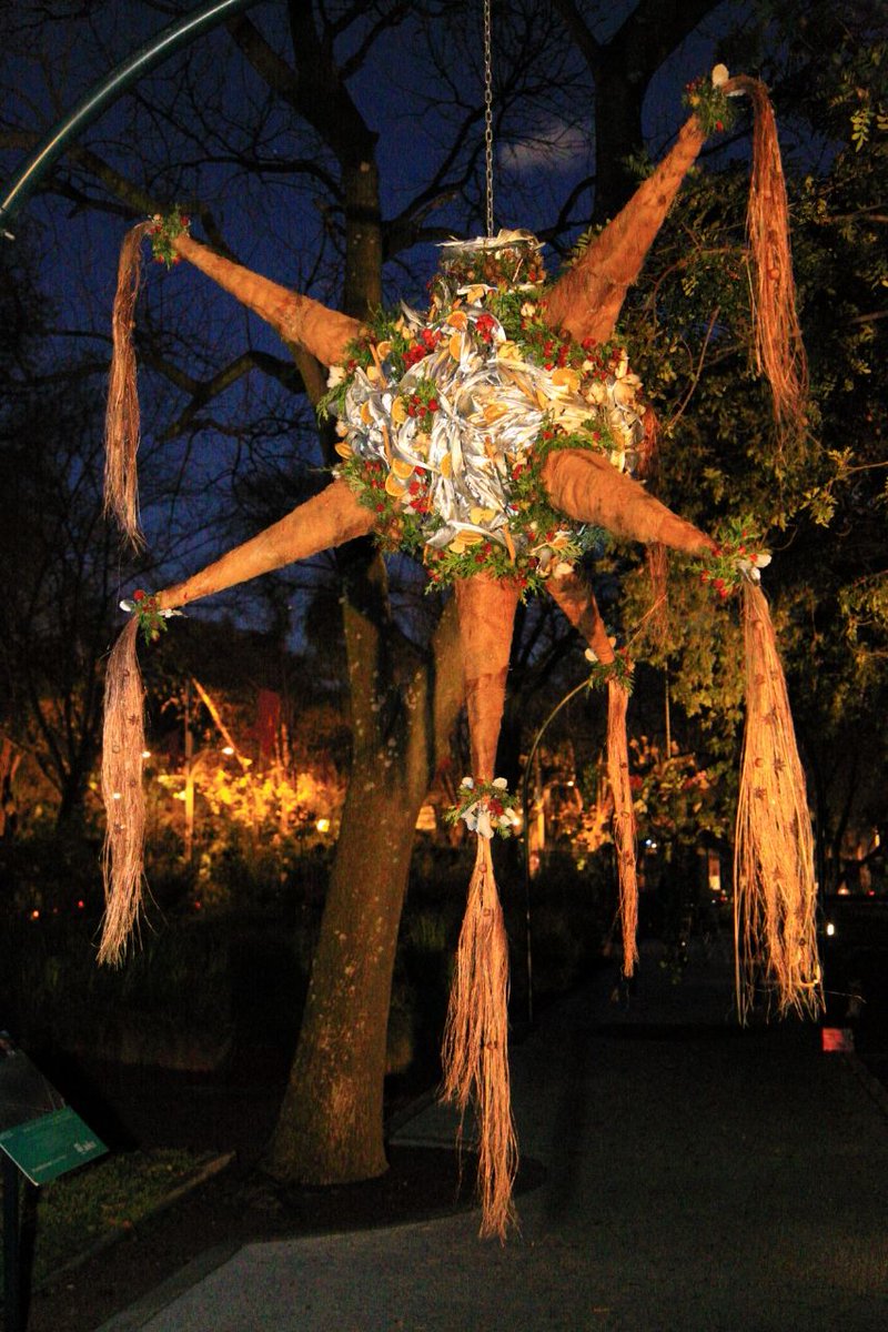 Bosque De Chapultepec tweet media