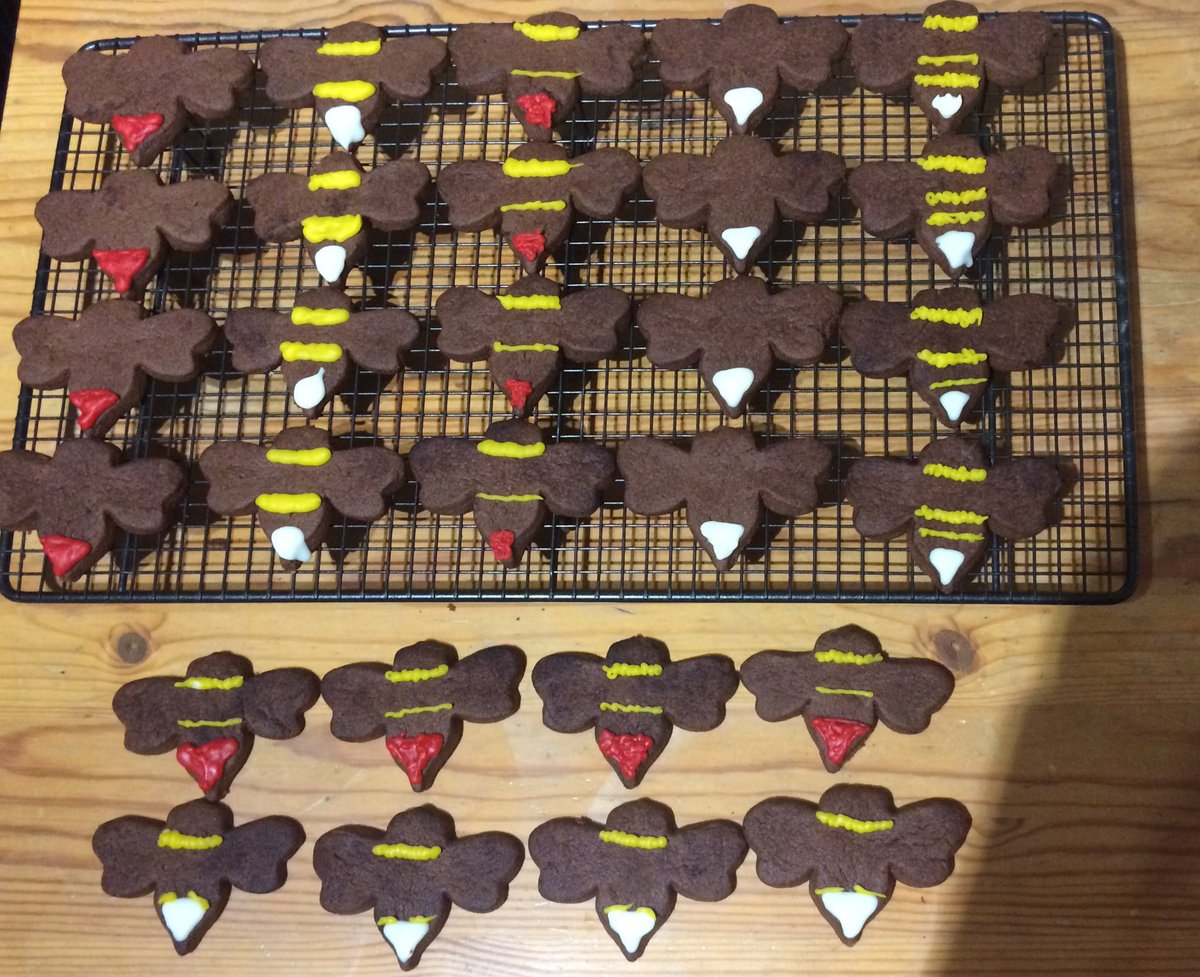 sphaerularia's tweet photo. No consumption without identification - bumblebiscuits for lab meeting #labcake #bees 🐝 https://t.co/QEybT8ons8