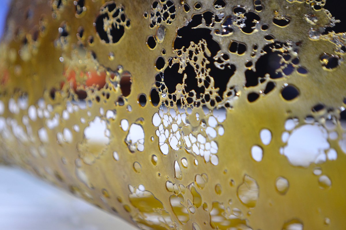 brassmonkeyca's tweet photo. Ride the wave 🌊🍯✌️
#shatterwax #Concentrates #WeedPorn #weedstagram #weedfeed #420blazeit #420friendly  #BrassMonkey https://t.co/sNTUBg4K6e