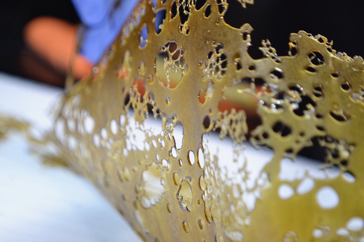 brassmonkeyca's tweet photo. Ride the wave 🌊🍯✌️
#shatterwax #Concentrates #WeedPorn #weedstagram #weedfeed #420blazeit #420friendly  #BrassMonkey https://t.co/sNTUBg4K6e