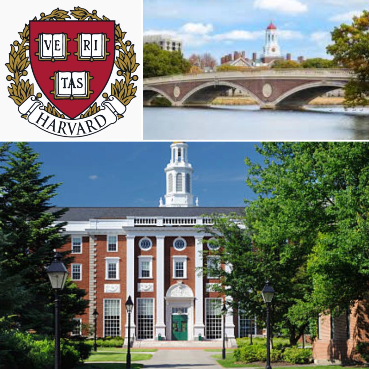 MichaelGugg's tweet photo. #iconic #prestigious #veritas #oldestuniversityin🇱🇷 https://t.co/7GBokKYxMt