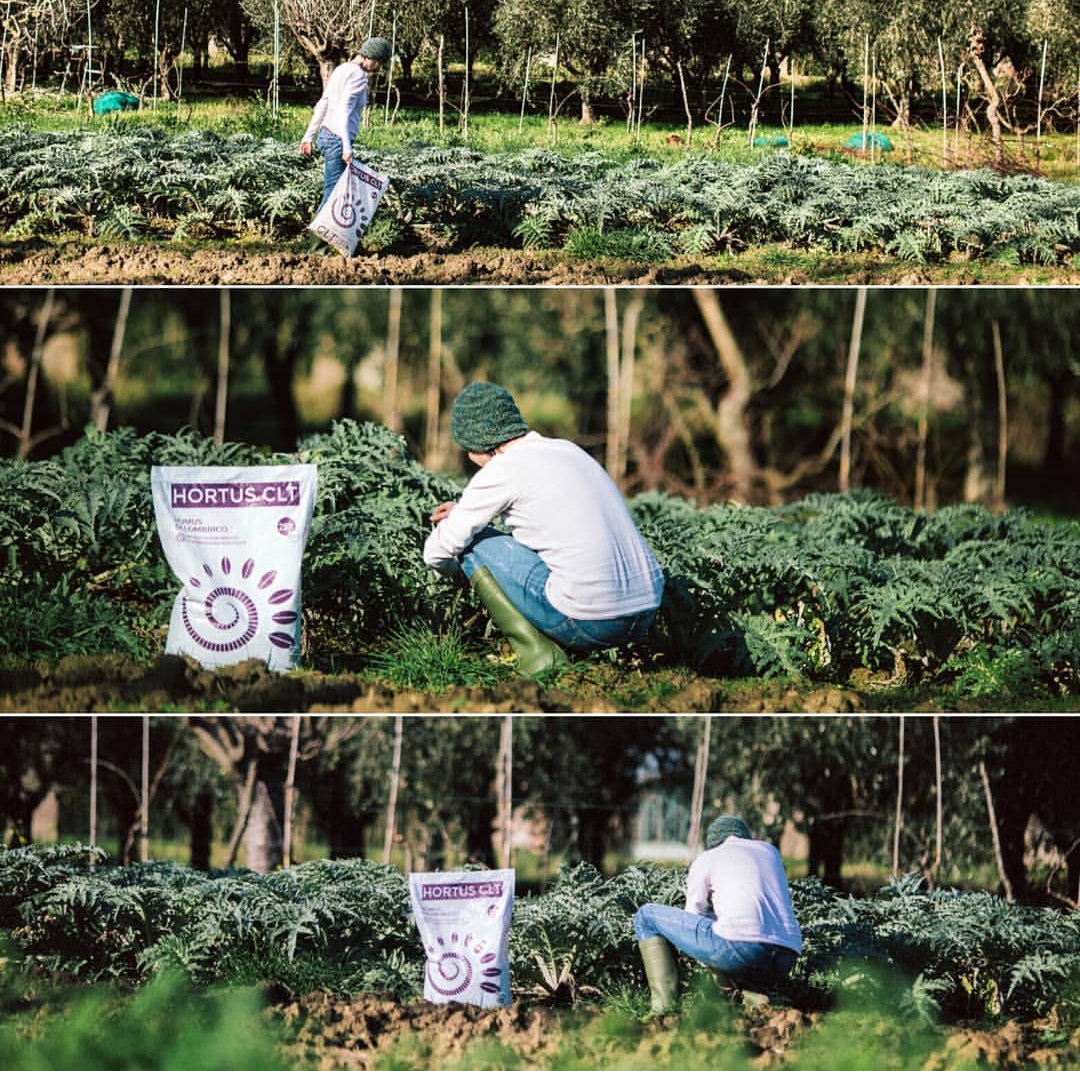 Humus_CLT's tweet photo. La soddisfazione di veder il proprio #orto crescere anche in inverno! #HumusCLT un concentrato di Sostanza organica, nutrienti e microrganismi per sostenere al meglio la #fertilitร del #suolo.
#agricolturabiologica #fertilizzantenaturale #humusdilombrico #vermicompost https://t.co/KTI3emvctJ