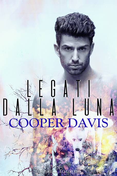 CooperDavisBook tweet picture
