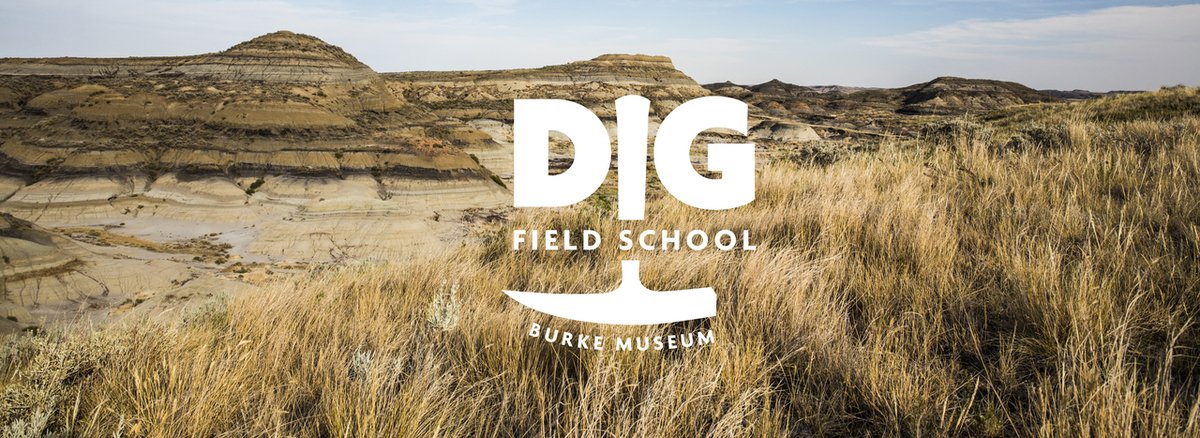 DigFieldSchool's tweet photo. Take a look at our latest newsletter to catch up with the DIG! @Wilson_KPg_Lab @gpwilson11 @burkemuseum #outreach #STEMeducation #paleontology #professionaldevelopment 
https://t.co/jTKPXRXKvL https://t.co/6TuARE8ebg