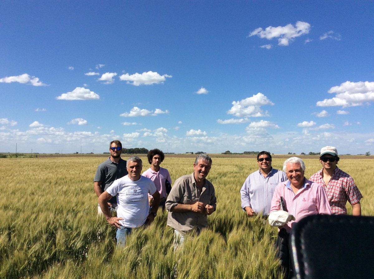 Jornada de trigo en Laprida, ensayos de variedades, labranza y distintos activos de fungicidas, gracias equipo de profesionales ⁦<a href="/lucasdoartero/">raton</a>⁩ ⁦<a href="/guigue1963/">guillermo alonso</a>⁩ ⁦<a href="/mguillelau/">Guillermina Lau</a>⁩ ⁦<a href="/joacolascombes/">Joaquín Lascombes 🇦🇷</a>⁩