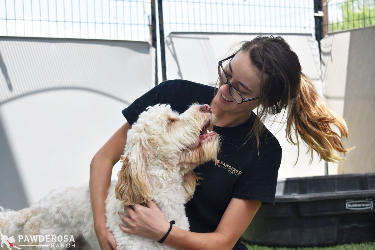 PawderosaRanch's tweet image. Pawderosa pups get all the perks! We are partnering with various companies to provide you with generous discounts.
These coupons are just for you!  mailchi.mp/b2bbde405e31/p… #DogsOfSATX #SanAntonioDogs