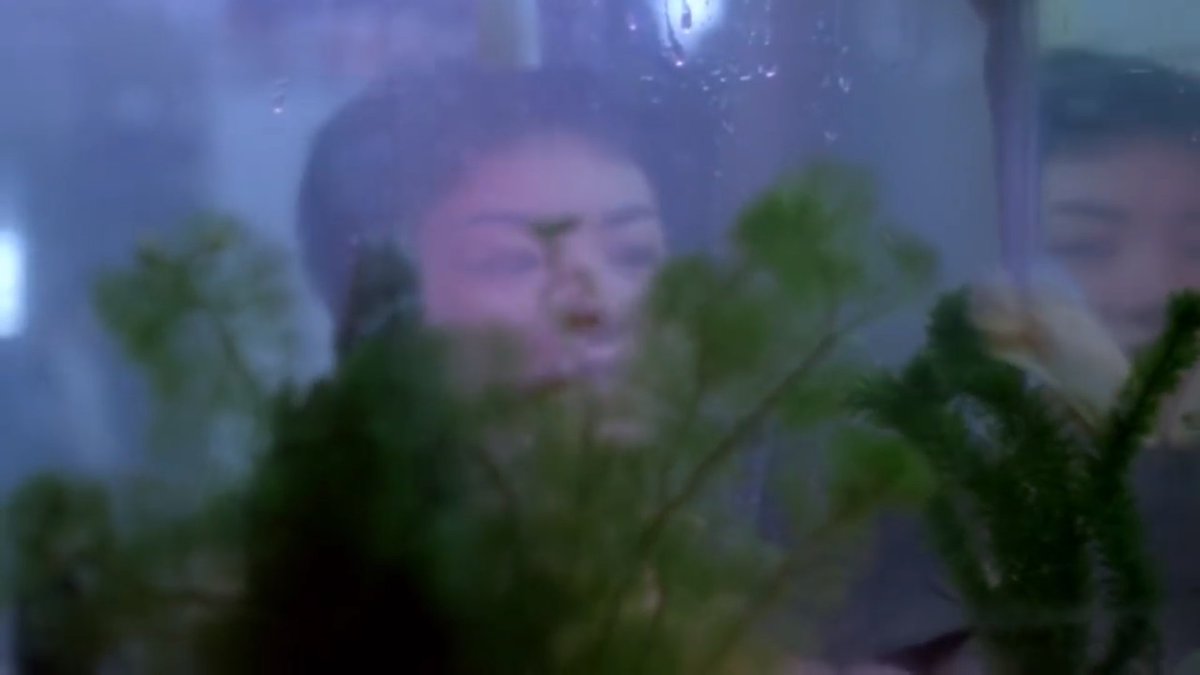 chungking express explained chungking express explained