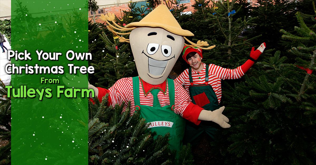 Tulleys Farm on Twitter "Pick your own Christmas tree, mistletoe AND