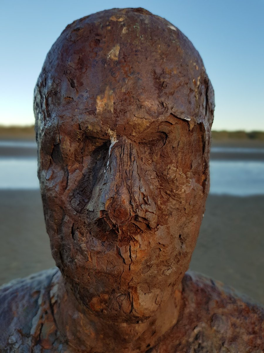 LysergicLizards's tweet photo. Exfoliate https://t.co/RjUriqaEo3