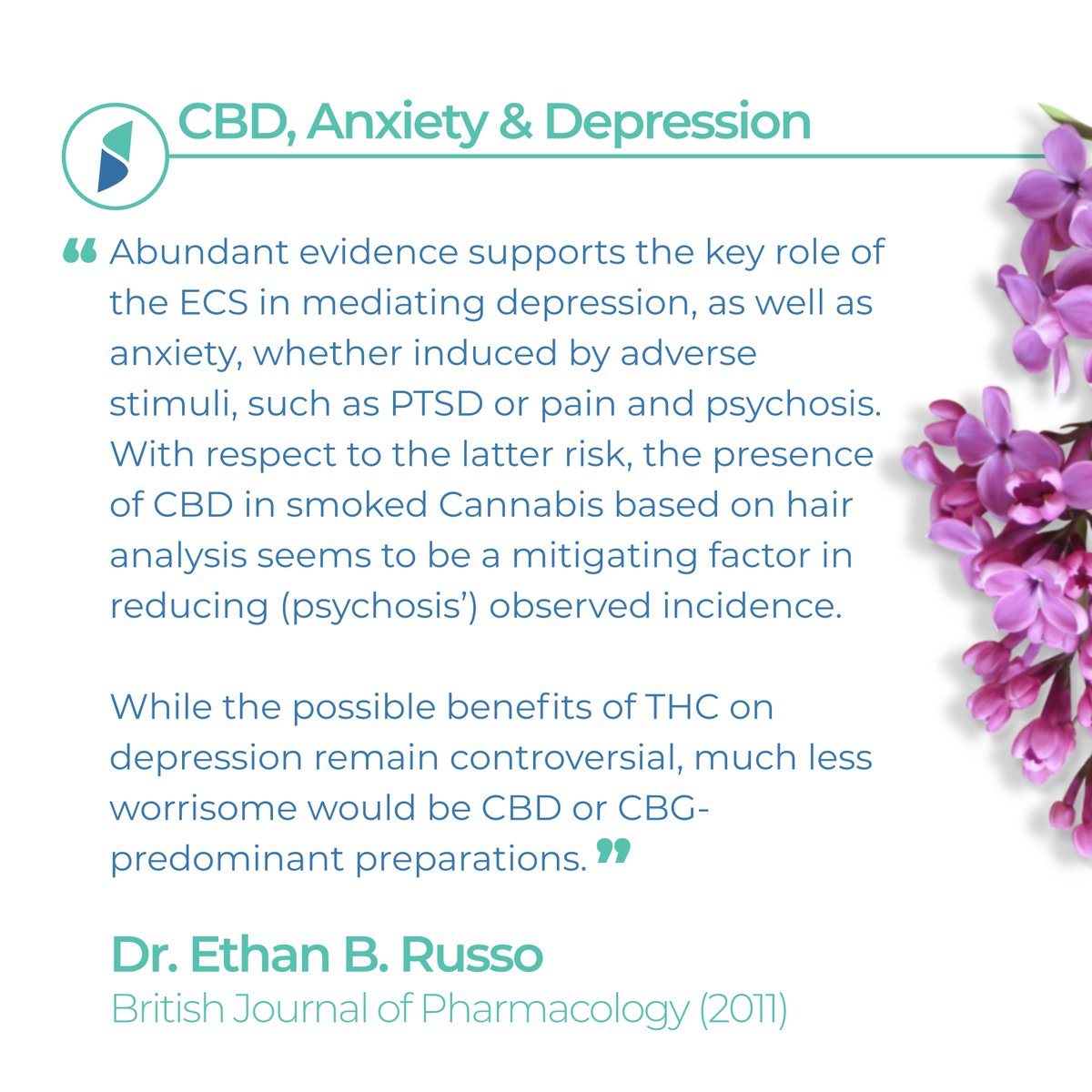 A Neat Quote from Dr. Russo's 2011 Peer-Reviewed Cannabinoid and Terpene Report 

#mysimpli #simplihemp #cbdoil #hempcbd #cbd #cbdoils #cannabidiol #cbdlife #happy #smile #art #wellness #depression #organic #love #health #PTSD #anxiety #allnatural #nature #hemp #cbdrich #nongmo