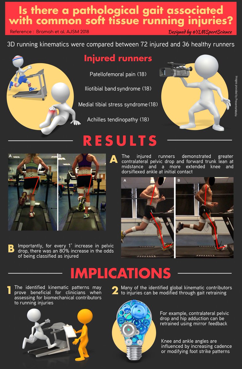 YLMSportScience tweet media