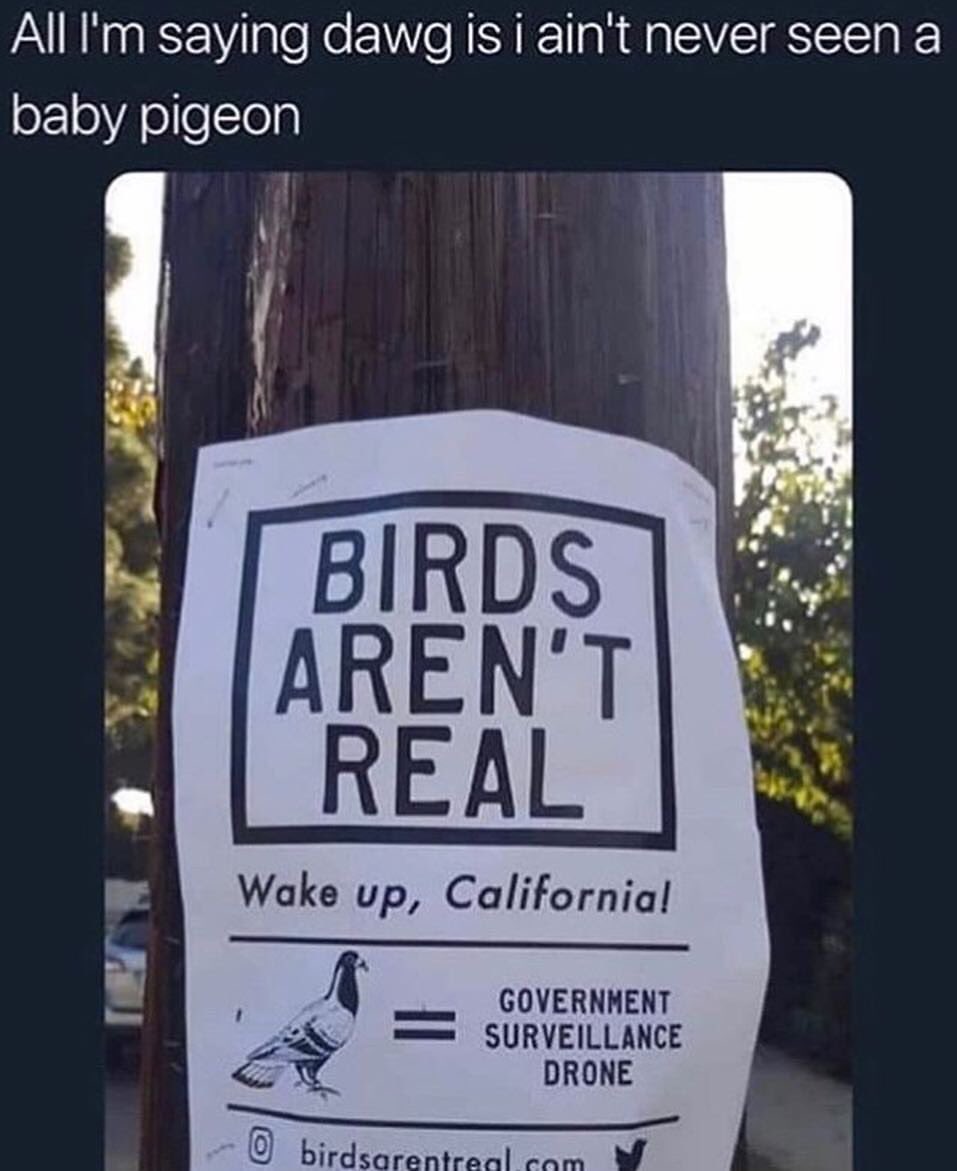 WORLDSTAR's tweet photo. Really bruh...😳😩😂 https://t.co/MOXLAXHeg5