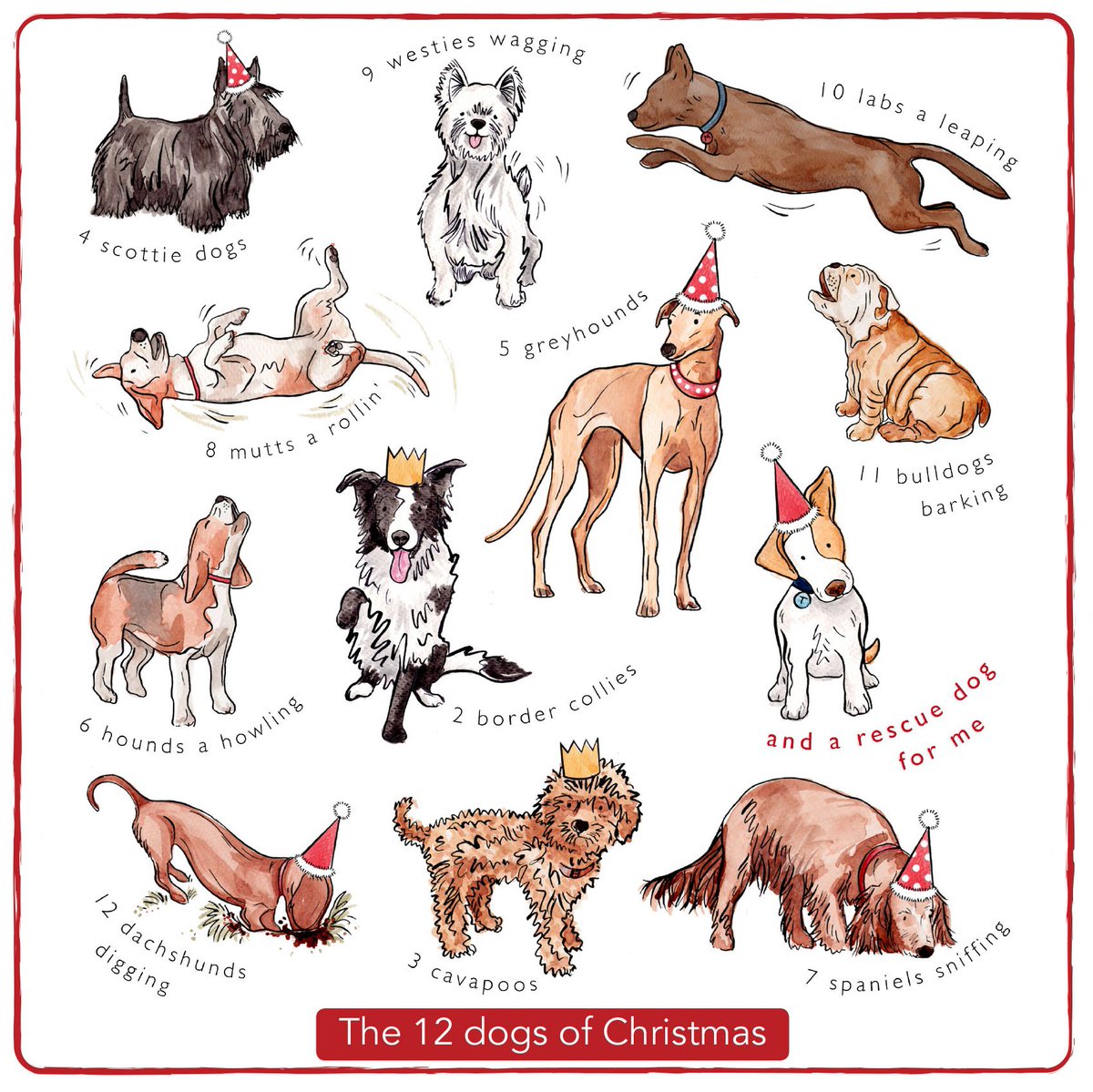 TommyDoggyLtd's tweet photo. Get practising our version of the 12 dogs of Christmas .... #dogs #christmas #12dogs https://t.co/cRigjXDKKM https://t.co/KFiP6AivPJ