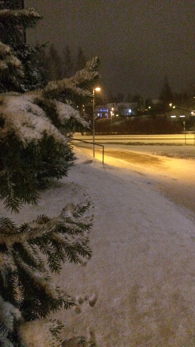 HurmeKaisa's tweet photo. Vihdoinkin lunta ❄️❤️#suomi#finland #snowatlast https://t.co/1QoHIo4nKE