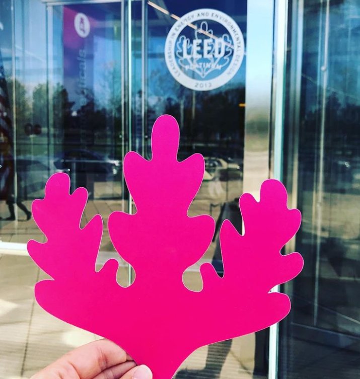 GBCPanama's tweet photo. Spy #FindYourLEED https://t.co/QujwoWSsNB