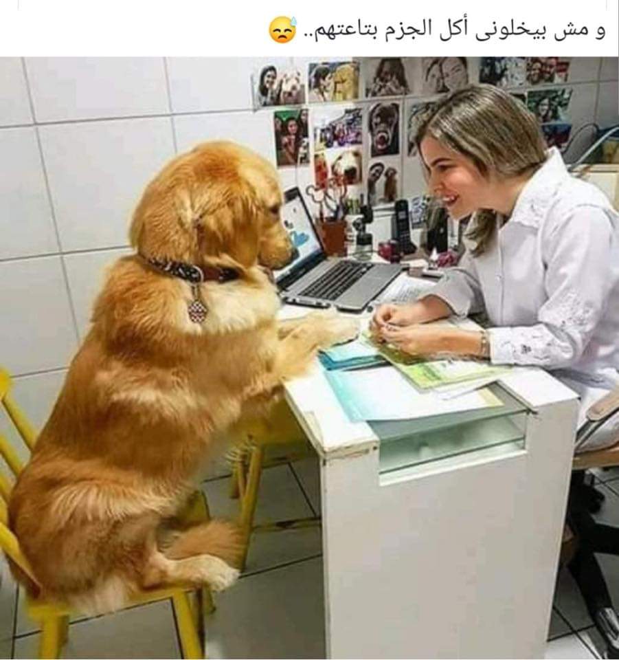 mariambooo's tweet photo. 😂😂 https://t.co/YX4L6Pxojo