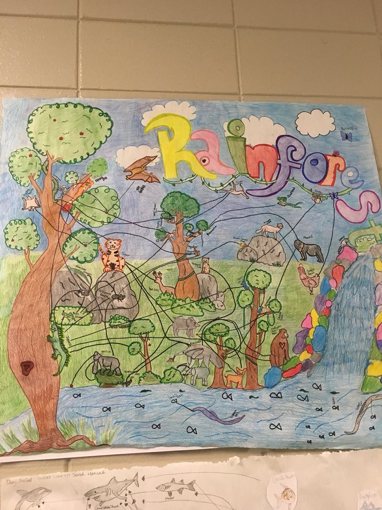 AshleyRHHS's tweet photo. Students with Mrs. DeJesus did amazing work on their food webs! I’m so impressed every time I walk down 300 hall. https://t.co/LeY0mRwajv