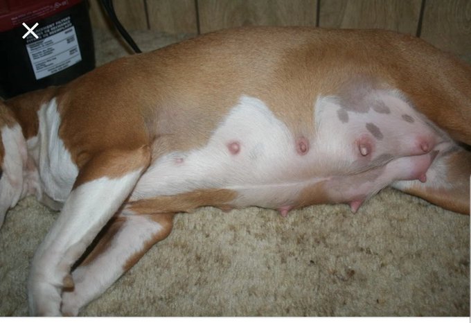 Watch Black Sex Workers's leaked NSFW photo on TwXstars