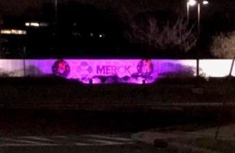 nora_vele's tweet image. Proud of my company for raising awareness for International Day of Persons with Disabilities day by wearing purple and supporting #PurpleLightUp #PoweredByInclusion 
#AtMerckImInspired