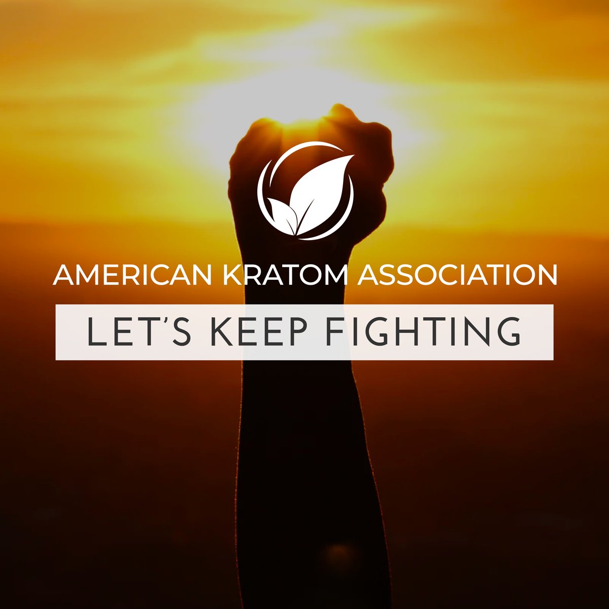 TheKratomAssn's tweet photo. With your help, we've made a lot of progress in this fight to #KeepKratomLegal. But our work isn't done yet. Let's keep fighting. #IamKratom

Donate: https://t.co/gGT8Lbbi4x https://t.co/ip5TK4HIol