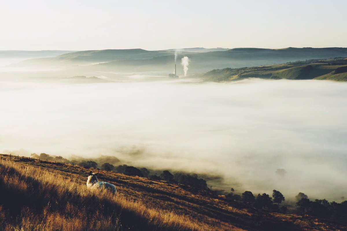 Daniel Casson tweet media