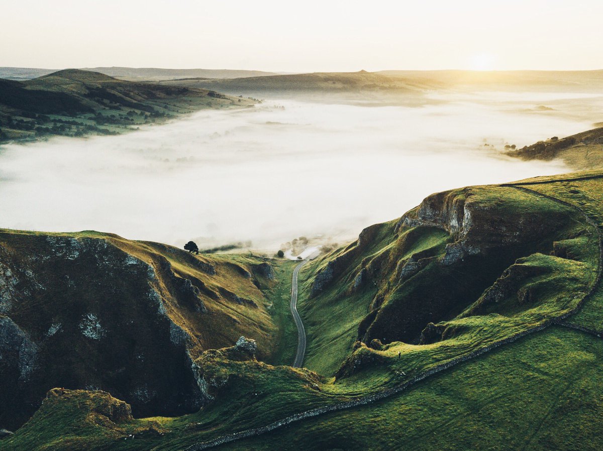 Daniel Casson tweet media