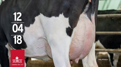 Semex's tweet photo. Excited to share this photo of a Claynook Denim! Watch tomorrow for Denim, siring balanced cows, with a deep heel, ideal bone, shallow udders with strong attachments & ligaments. He's a Calving Ease, HealthSmart™, ShowTime™, A2A2 sire & Fertility First™! #decproofs https://t.co/zerWO0CQmx