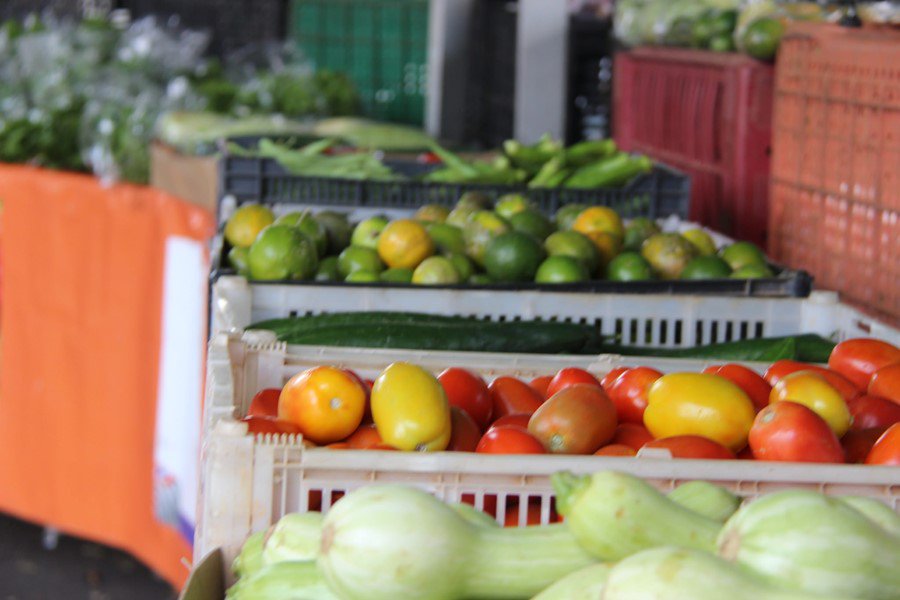 Consea-SP lança plano de segurança alimentar e nutricional. Evento será no  próximo dia 12 de dezembro, Auditório da Secretaria de Agricultura e Abastecimento do estado (4°andar), Praça Ramos de Azevedo, n° 254, Centro da capital paulista #Plansan #Consea bit.ly/2rkAtWc