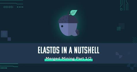 Elastos DAO tweet media