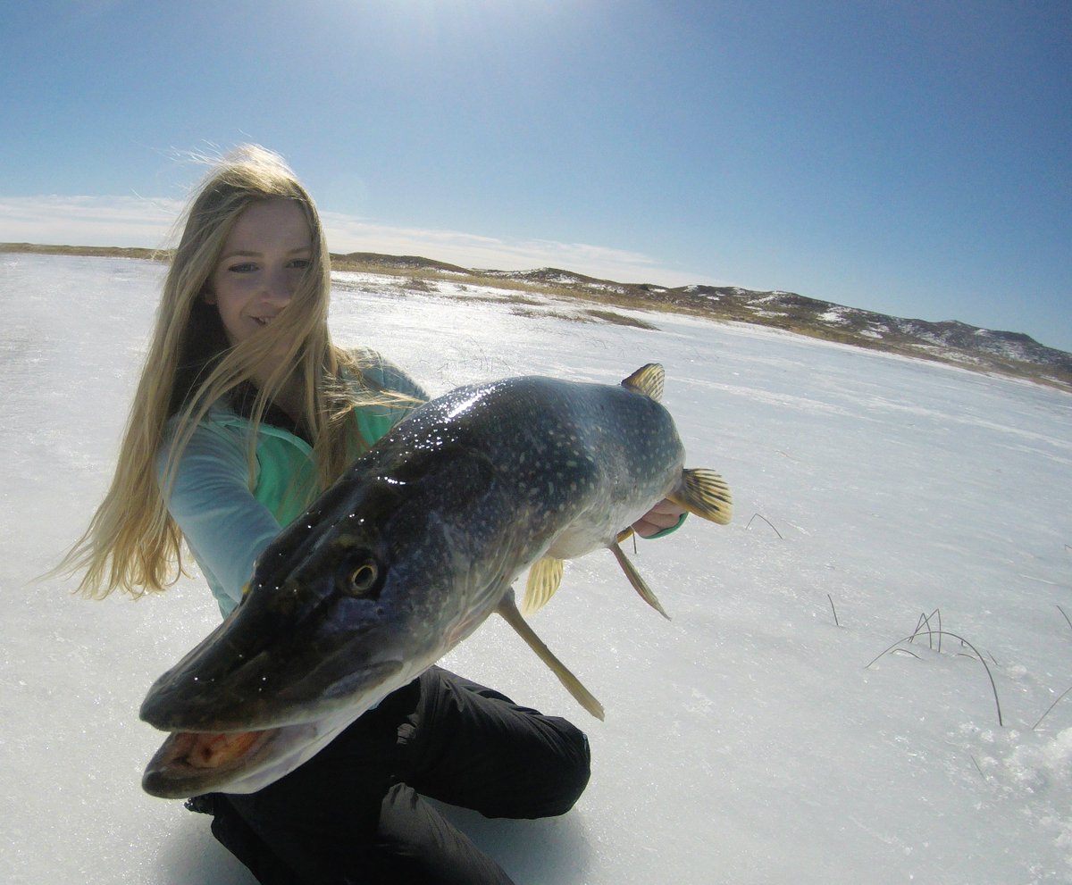 Ice fishing for pike = best feeling on Earth! ... At least until open water muskie. 😉 #fishing #icefishing #ladiesofangling #girlswhofish #pike