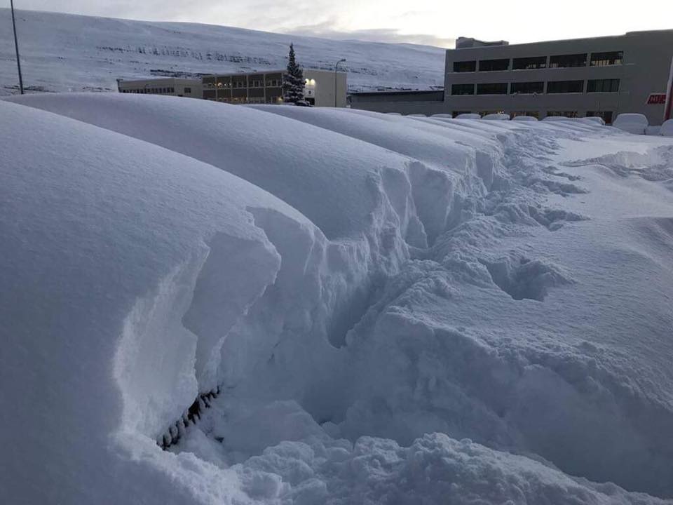 Strange_Sounds's tweet photo. Hey Google, where is my car please? Extreme snow storm in Akureyri, Iceland buries cars and streets under more than 1 meter of snow in less than 24 hours #Google #snow #storm #Akureyri #Iceland https://t.co/2b376BEmm3 via @Strange_Sounds https://t.co/g589zIojO5