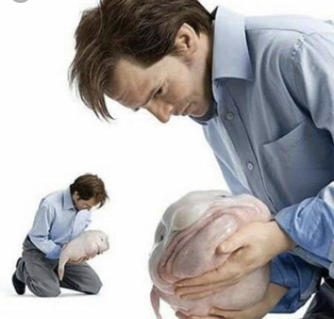 cheyenne_luvly's tweet photo. Reenact this photo @AmazingPhil @danielhowell #PINOF10 https://t.co/00rf0PfOhy