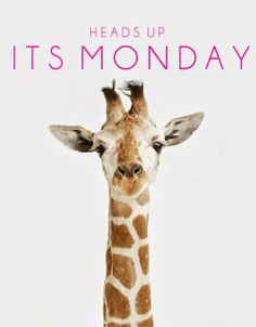Nicola_Lambo's tweet photo. Who's sporting that #Monday #magic ??? 💖 #PlanA #actorslife #createluck #dailydose #headsup https://t.co/vbFLzNC3SS
